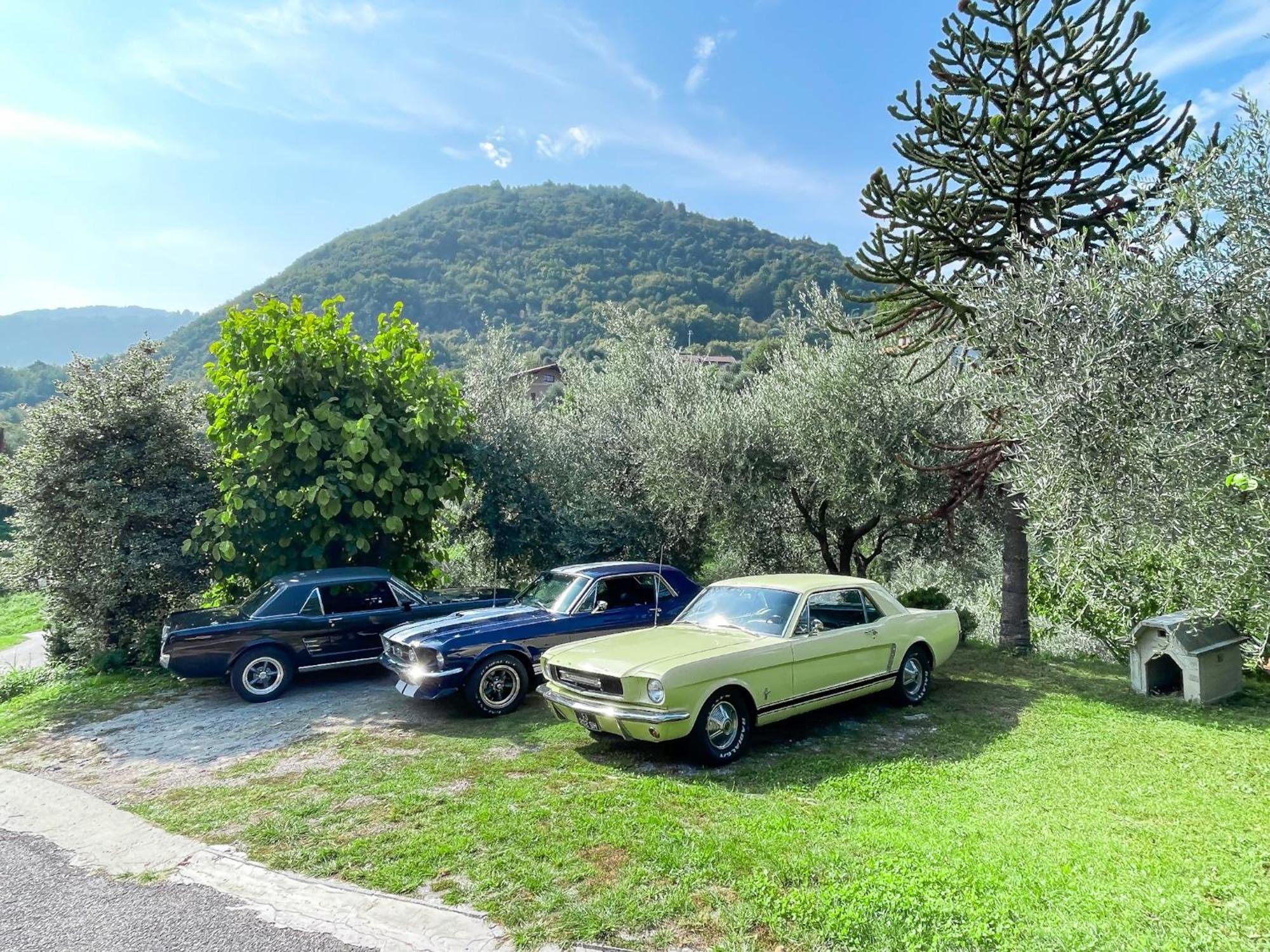 Appartamento Tivano Balcone Con Vista Lago Bellagio Dış mekan fotoğraf